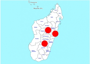 Propagation du coronavirus à Madagascar - 3 provinces sur 6  touchées… et confinées !