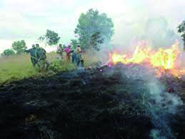 Incendie du parc d’Ambohitantely - Les suspects relâchés