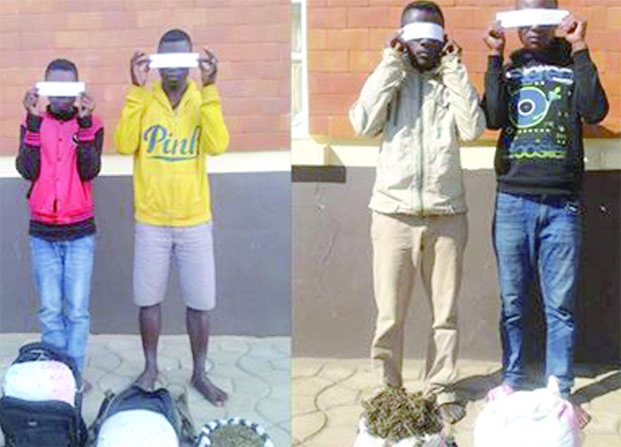 Antsirabe - 4 trafiquants arrêtés par la Police, plus de 26 kg de drogue saisis