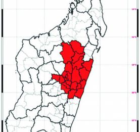 Antananarivo - La pluie s’intensifie, vigilance recommandée  ! 
