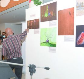 Mois de la photo - Le Festival « Sar’nao 2025 » en images et en voix 