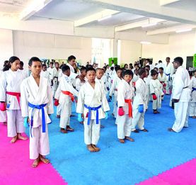 Karaté -Coupe internationale - 350 combattants attendus sur le tatami à Antananarivo  