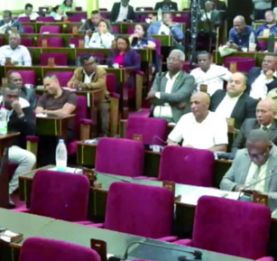 Assemblée nationale - Une séance d’interpellation dominée par les doléances locales