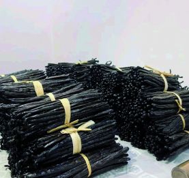 Marché américain - La vanille malagasy exemptée de taxe