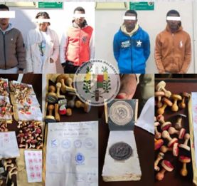 Faux et emplois fictifs à l'île Maurice - 5 personnes jetées en prison