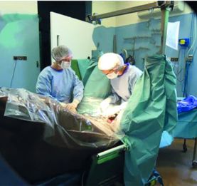Loi sur la castration - Les violeurs d’enfants subiront la sanction la plus sévère, réitère le Chef de l’Etat