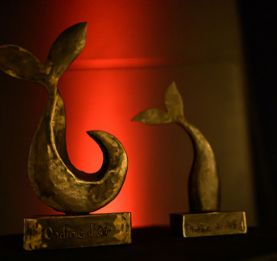 Festival international du film d'animation de Madagascar -  Remise des prix aux meilleurs talents