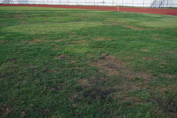 Non- homologation du stade de Mahamasina - La galère des Barea persiste