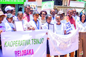 Région de Bongolava - Les producteurs attendent la mise en œuvre de l’ODOF
