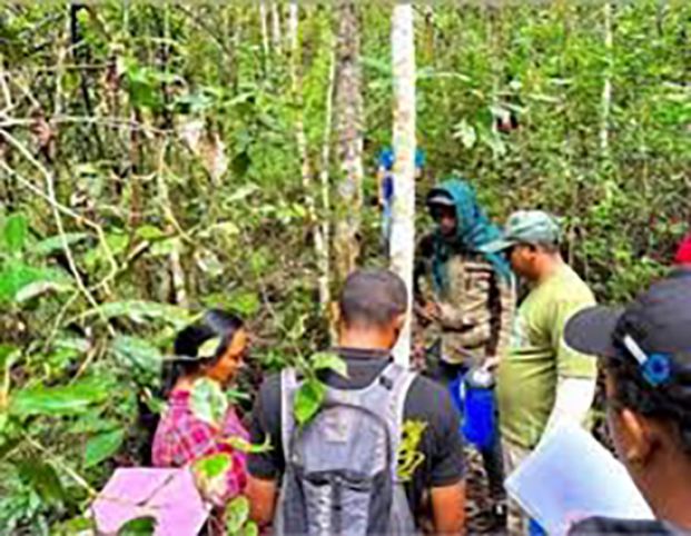 Biodiversité -  Madagascar sécurise ses ressources naturelles pour les générations futures