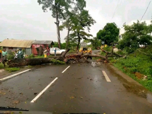 Cyclone Dikeledi - Hausse du nombre de sinistrés