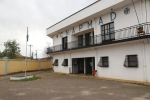 CNAPMAD  - Un bras de fer entre la Direction et les employés