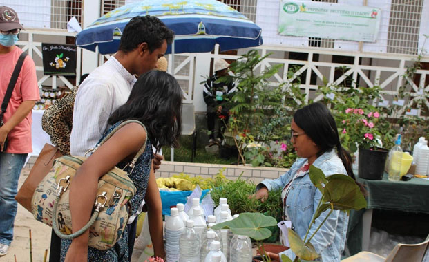 Alliance française d’Antananarivo - Le « Festival des jardins » se prépare