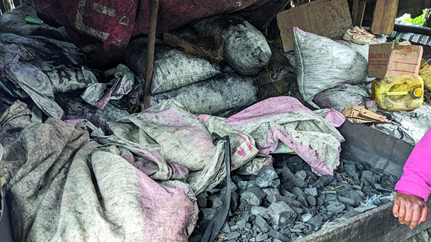 P&eacute;nurie de charbon -&nbsp;Les habitants d&rsquo;Antananarivo en difficult&eacute;