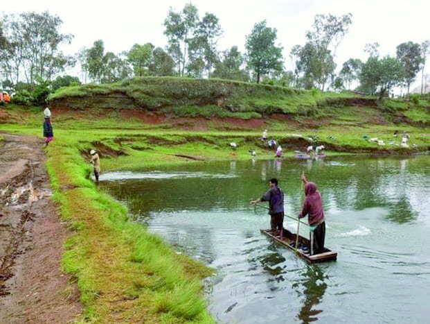 Changement climatique - Le tarissement du lac d’Andranobe menace la pisciculture