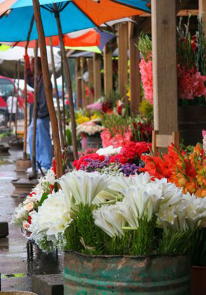 Fête de la Toussaint - Des fleurs détruites par la grêle