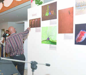 Mois de la photo - Le Festival « Sar’nao 2025 » en images et en voix 