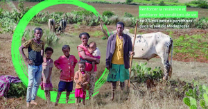 Sud de Madagascar - 54 millions de dollars pour renforcer la résilience des populations  