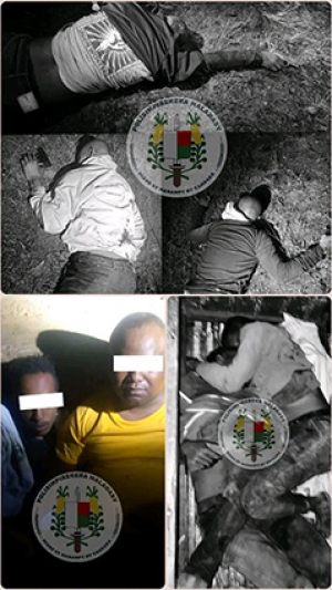 La Police et la Gendarmerie n’ont pas fait de quartier. Le sang a giclé. Le gang a été décimé