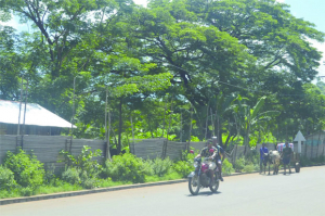 Litige foncier à Amboanara-Nosy Be - Un cas malheureux de violation du droit fondamental à la propriété