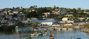 Covid-19 en Afrique -  La nouvelle souche détectée aux Comores, à La Réunion et Mayotte
