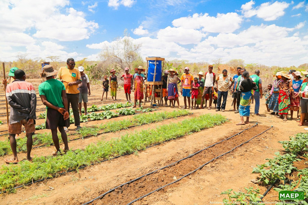 Impacts de la sécheresse sur l’agriculture - La recherche des solutions à accélérer