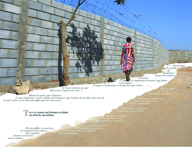 Exposition &laquo;&nbsp;Ainy ny Tany&nbsp;&raquo; -&nbsp;Un cri d&rsquo;alarme pour la protection des sols