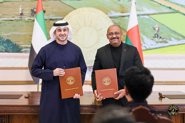 Coopération Emirats arabes unis - Madagascar - Une centrale solaire de 50MW bientôt à Moramanga