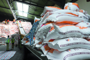 Port de Toamasina - 21 000 tonnes de riz et 12 000 tonnes de ciment prêts à la distribution