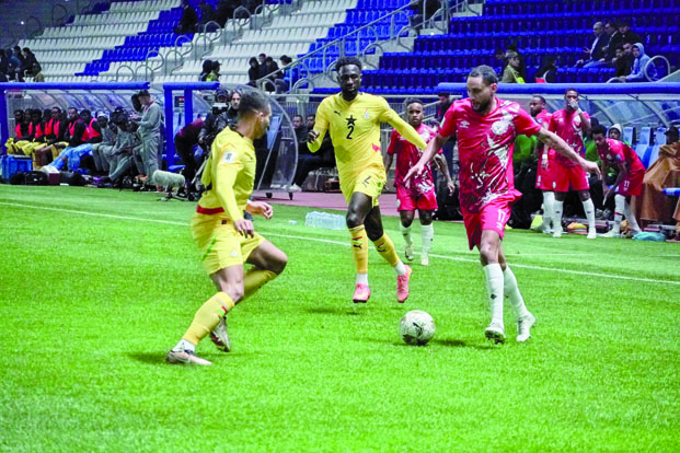 Match amical international - Les Barea défieront les Léopards à Orléans