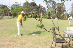 Golf -Championnat de Madagascar - Divers lots promis aux meilleurs