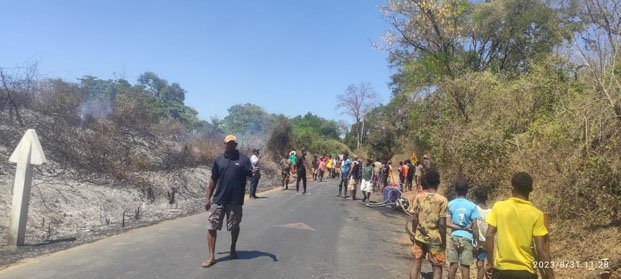 A Ankarafantsika, la RN 4 a fait office de coupe-feu 