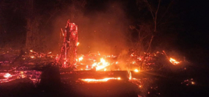 Forêt d’Ankarafantsika - Au moins 3 250 hectares ravagés par le feu