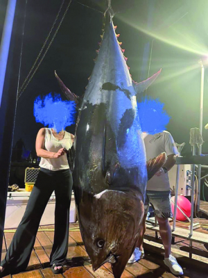 Thon migrateur - « 52 000 tonnes traversent chaque année nos eaux »