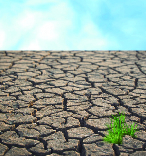 Fortes précipitations et aridité - Le phénomène « El Niño » à la manœuvre