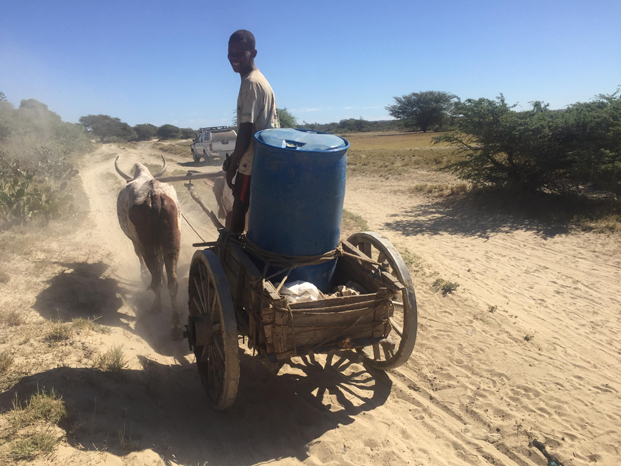 Sécheresse dans le sud - Le stockage d’eau comme priorité