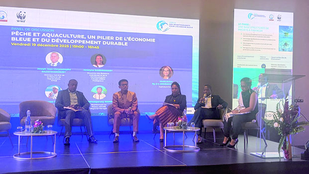 Potentiel maritime -&nbsp;Madagascar vise 919,5 millions USD d&rsquo;investissements