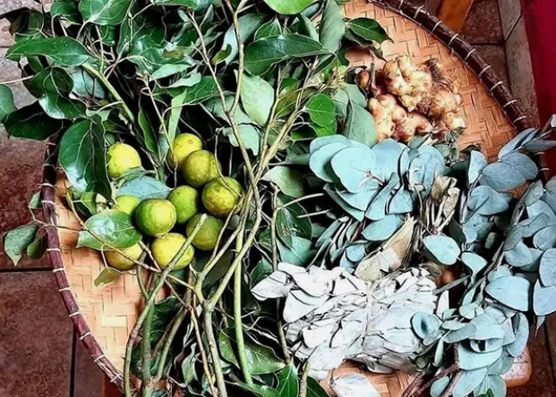 On constate actuellement une ruée vers l&#039;utilisation des plantes médicinales afin de prévenir la grippe