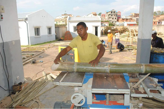 Transformation du bambou à Madagascar - Les produits importés supplantent la production locale