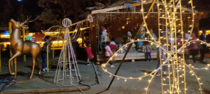 Festivit&eacute;s - La magie de No&euml;l s'invite au jardin d&rsquo;Ambohijatovo