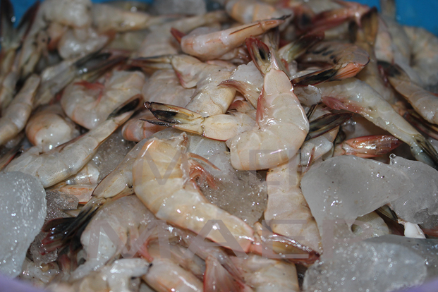 Produits halieutiques - Risque d’embargo pour les exportations malagasy ?