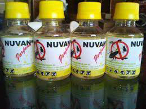Pesticides dangereux - Vers l’interdiction d’usage du « Nuvan »