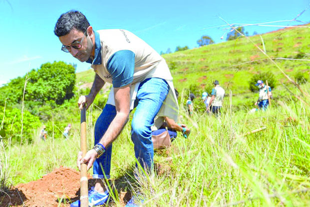Groupe Filatex - 1 100 jeunes plants mis en terre à Ambohijanaka