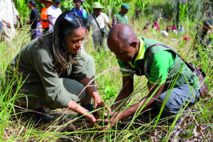 Reforestation - 48.000 Ha de surface couverte en un semestre