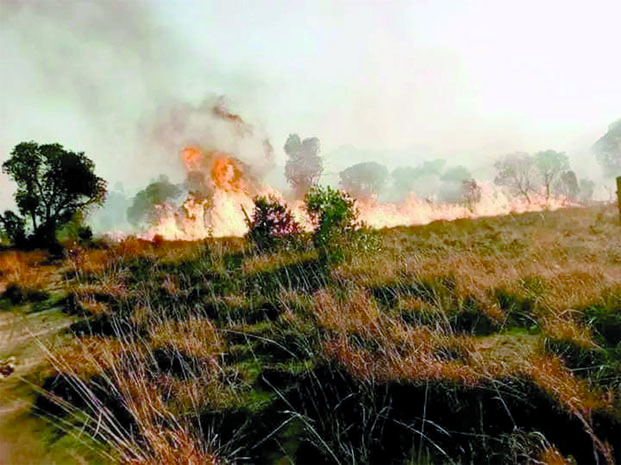 Le Menabe frappé par une série d&#039;incendies - Une femme tuée, plusieurs milliers de sinistrés recensés