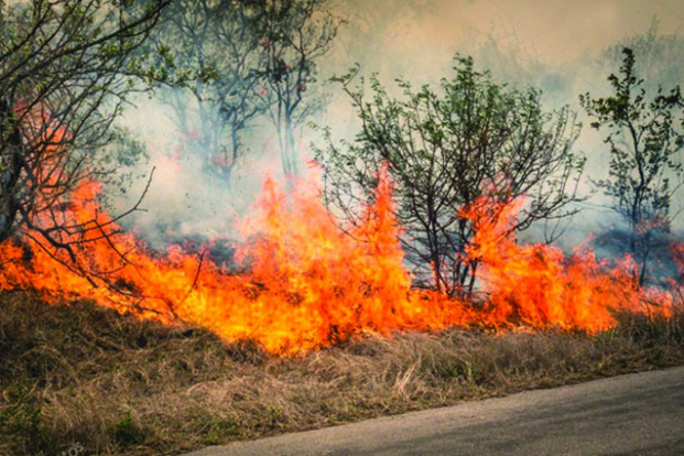 Environnement - Madagascar, tout feu, tout flamme