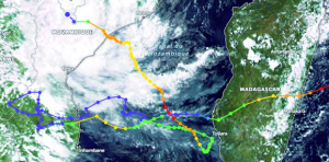 Passage du cyclone Freddy à Madagascar - 17 personnes décédées, des routes impraticables à Toliara 