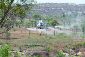 Lutte antiacridienne - Un pesticide controversé utilisé à Madagascar