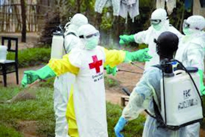 Virus Ebola - Prise de mesures préventives par l’Etat malagasy