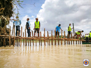 Rupture de la digue de Malaza - Réhabilitation temporaire de l&#039;infrastructure